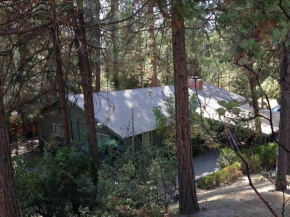 Trout Creek Lodge